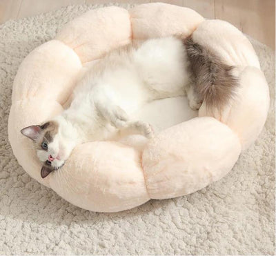 Fluffy Bliss Donut Pet Bed